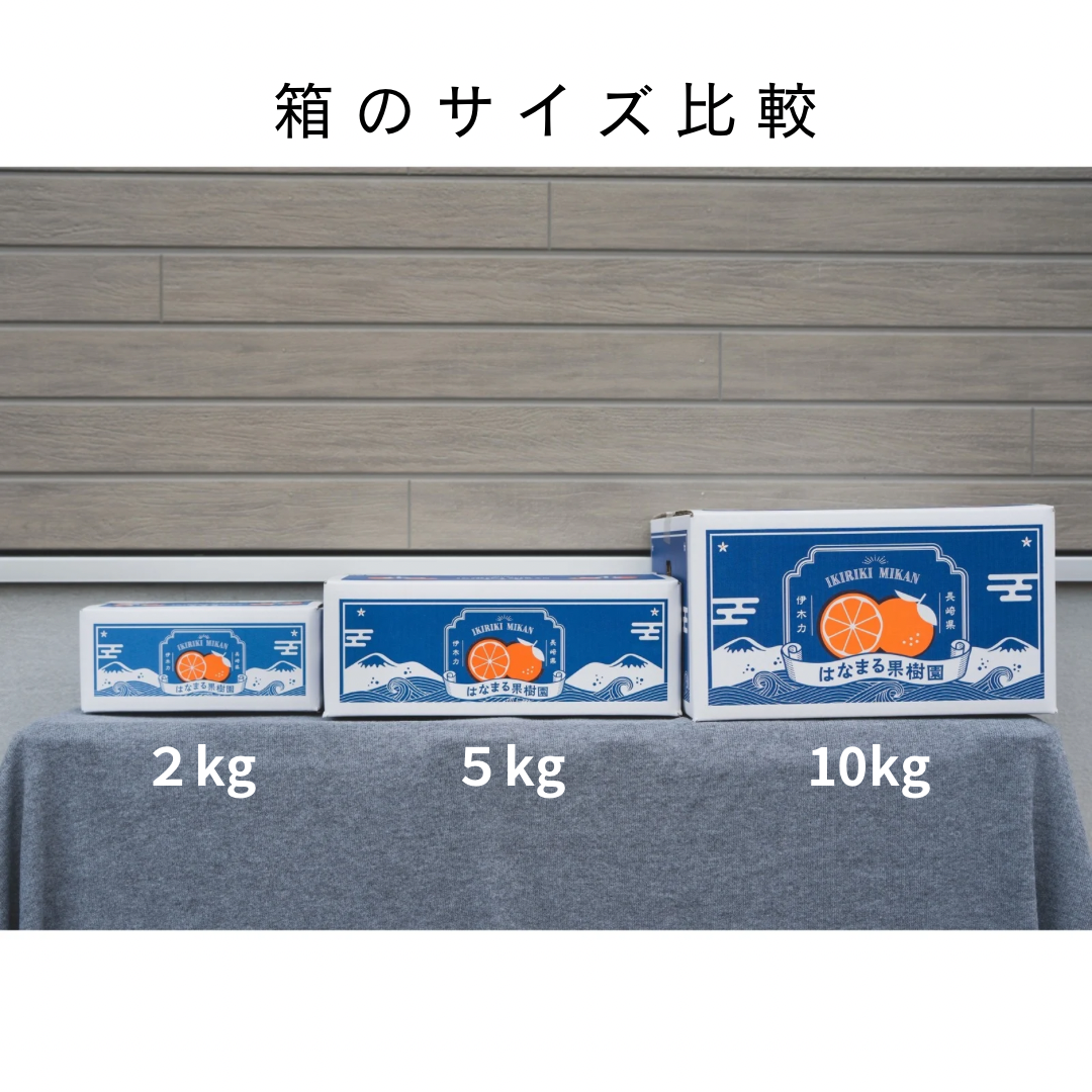 家庭用みかん 【10kg】 | はなまる果樹園